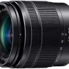 Panasonic Zoom Lenses | Panasonic Lumix G Vario 12-60Mm F/3.5-5.6 Asph Power O.I.S Lens