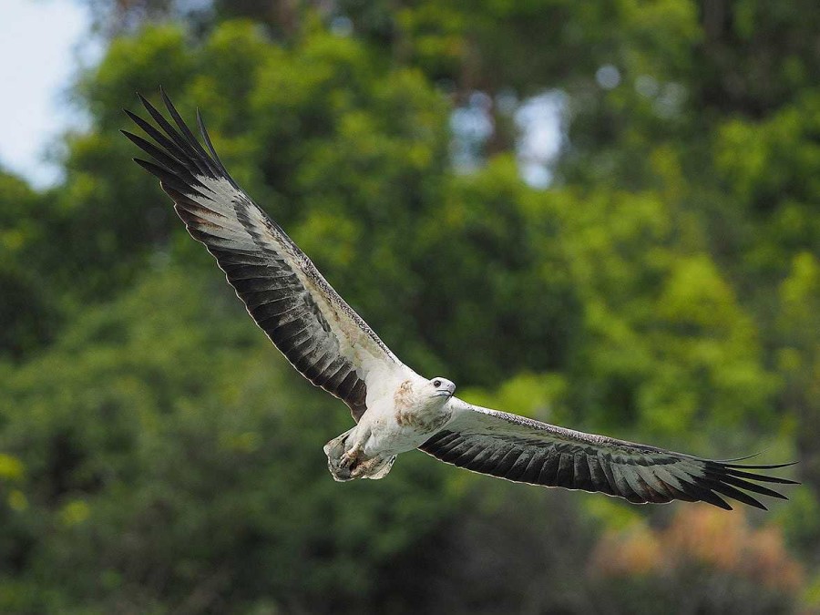 Olympus Telephoto Lenses | Om System M.Zuiko Ed 300Mm F/4.0 Is Pro Black Lens